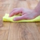 Conseils pour se débarrasser des puces de parquet